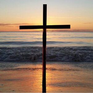 Hi @bargainsnbeyond welcomes you!